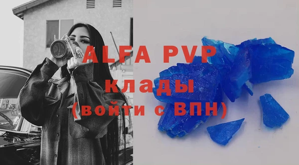 индика Балахна