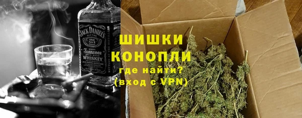 индика Балахна